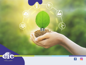 Energías Renovables y Eficiencia Energética